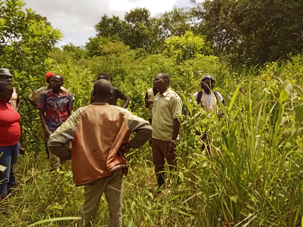 Child protection and gender justice advocacy program by RWOHFED in rural Uganda communities