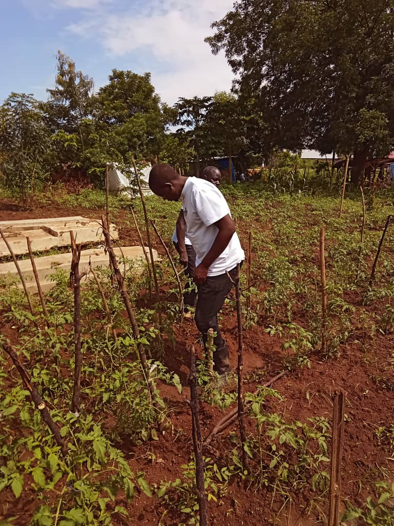 RWOHFED sustainable agriculture and healthy food systems program with rural women farmers in Uganda